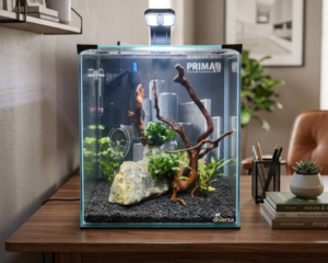 akvarij v sodobni pisarni za sproščujoče in prijetno delovno okolje